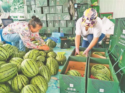 宜昌小中考吃瓜最新事件,揭秘校园风波背后的真相