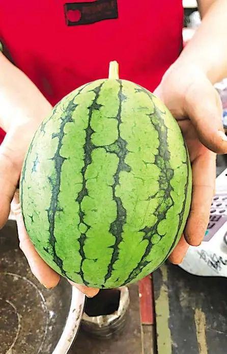 西北吃瓜事件真相,揭秘背后真相与反思