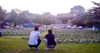 襄职操场男女吃瓜事件,一场关于性别与舆论的校园事件