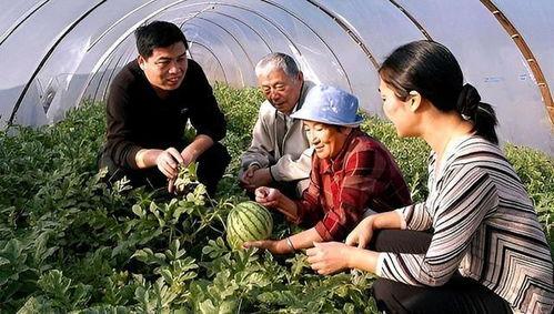 南京大学吃瓜事件4人,校园风波引关注