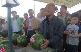 莱芜吃瓜群众事件最新消息,最新进展揭秘，真相大白！