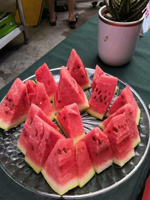 宁夏吃瓜最新事件,揭秘背后真相与网络热议