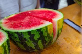 杭州大学吃瓜事件,校园舆论风波背后的真相揭秘