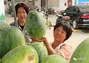 武陟小区吃瓜事件