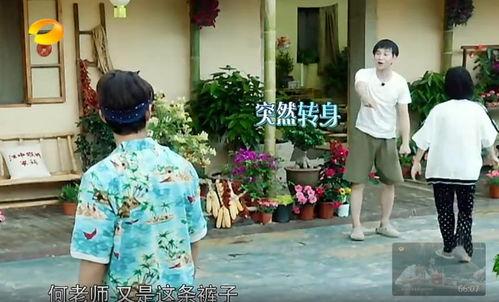 中国吃瓜事件真相揭秘图片,真相与误解的交织