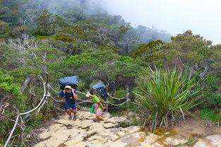 神山公园吃瓜事件,一场意外的社交风波