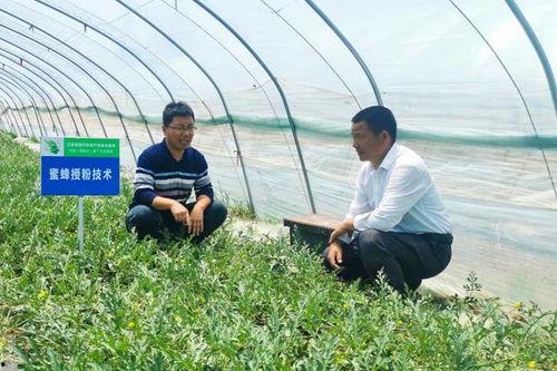 沭阳打架吃瓜事件,真相与反思