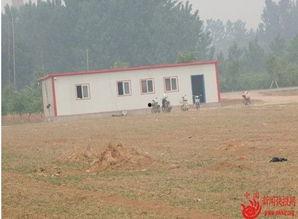 河北邯郸魏县事件吃瓜,揭秘背后真相，吃瓜群众热议