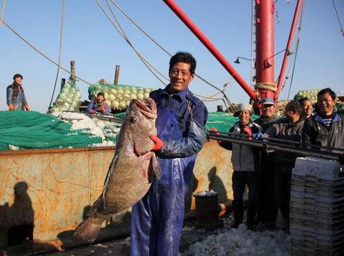 舟山渔民吃瓜事件视频,舟山渔民意外吃下“神秘瓜果”引发热议