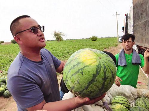 花果园吃瓜事件图片高清,一场引发热议的网络狂欢