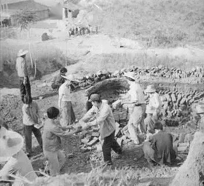 大名县红庙吃瓜事件始末